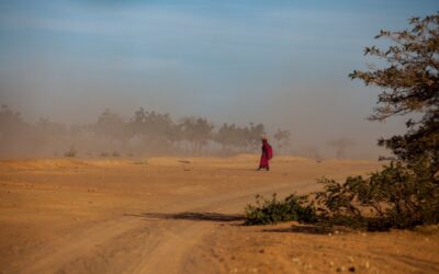 Migration could help people adapt to the impacts of climate change in Africa