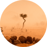 photo of a dry desert